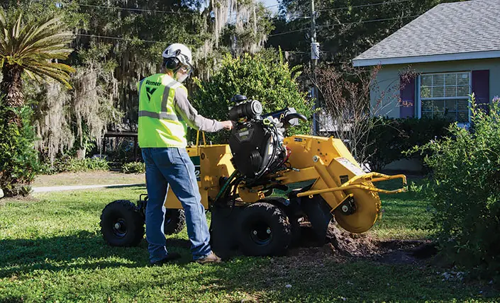 Voimaa kantojen poistoon.