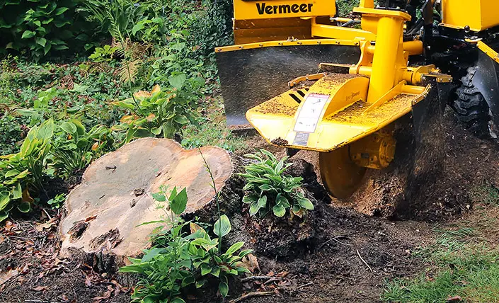 Maksimaalinen jyrsintäleveys